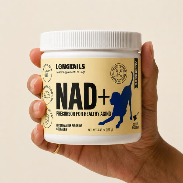 A hand holding the LongTails NAD+ supplement jar